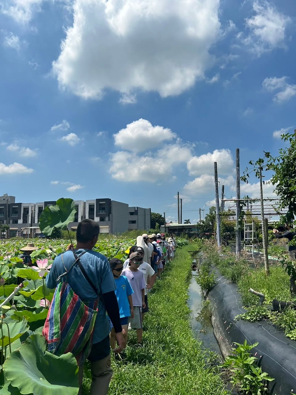 園區蓮花導覽