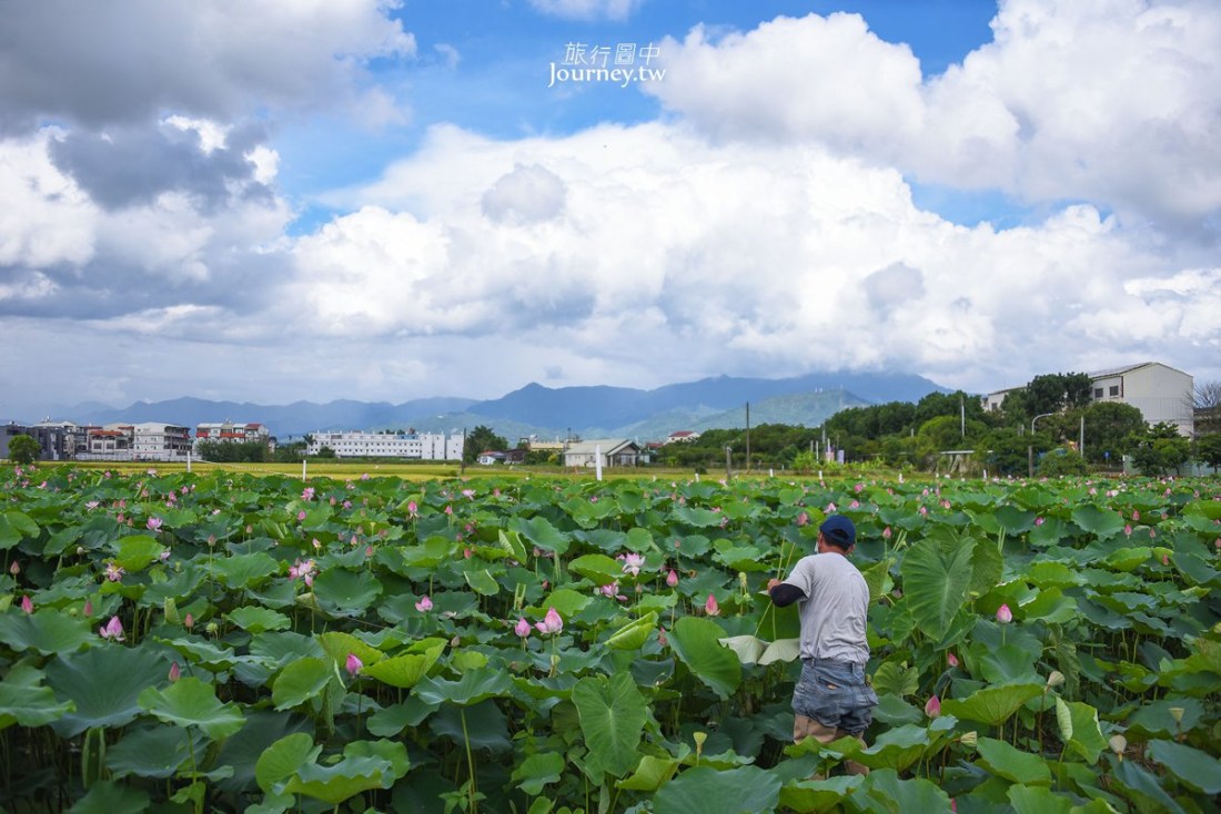 旅行圖中採訪封面
